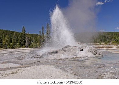 Minute Man Geyser Erupting In The Wilderness Of The Shoshone Geyser Basin In Yellowstone National Park In Wyoming