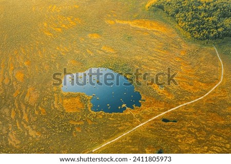 Miory District, Vitebsk Region, Belarus. The Yelnya Swamp. Aerial View Of Yelnya Nature Reserve Landscape. Narrow Wooden Hiking Trail Winding Through Marsh. Cognitive Boardwalk Trail Over A Wetland.