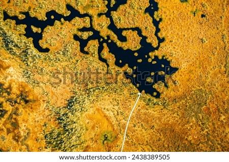 Miory District, Vitebsk Region, Belarus. The Yelnya Swamp. Aerial View Of Yelnya Nature Reserve Landscape. Narrow Wooden Hiking Trail Winding Through Marsh. Cognitive Boardwalk Trail Over A Wetland.