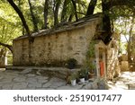 The miracle church of Saint Theodora with seventeen enormous holly and maple trees growing on its roof, Vasta, Megalopoli