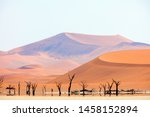 Mirage at Deadvlei Namibia where dried out camelthorn trees surrounded by red sand dunes