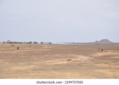 Mirage - Fake Image Of Water Visible On The Horizon