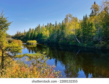 Miramichi River In Northern New Brunswick Lined With Trees 