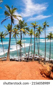 Mirissa Beach In Sri Lanka