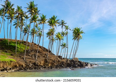 Mirissa Beach In Sri Lanka