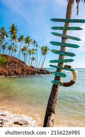 Mirissa Beach In Sri Lanka