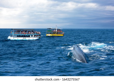 Mirissa, Sri Lanka - Feb 12, 2020: Tourist Boats In Ocean On Whale Safari.