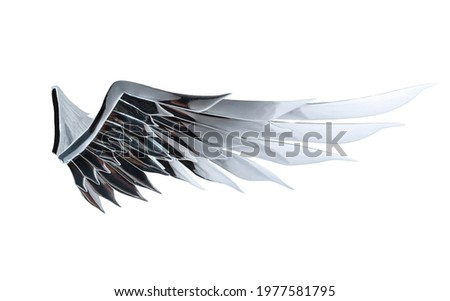 Mirror beautiful angel wing concept isolated on white background with clipping path . Freedom symbol