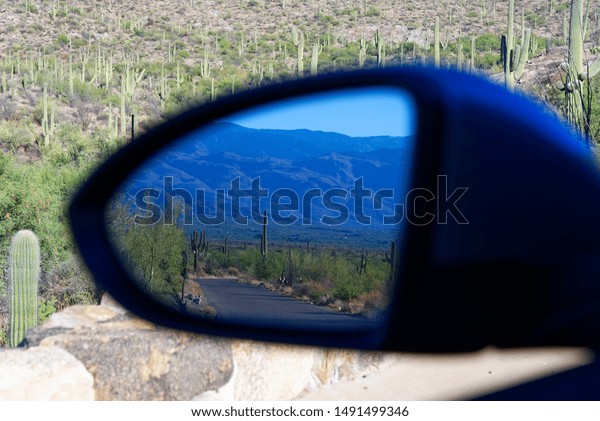 Mirror\
image of a saguaro cactus from a car wing\
mirror