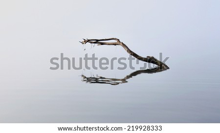 Similar – Image, Stock Photo 1000 Baltic Sea Ocean Lake