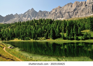 Lac Mirror et pinède au-dessus du village de Ceillac, parc naturel régional du Queyras, Alpes du Sud, France.