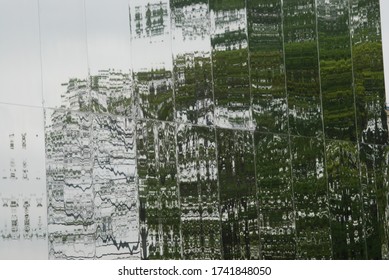 mirror wall texture reflecting trees
