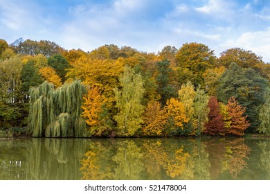 Mirroring trees in a pond in autumn colors