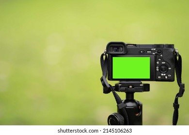 Mirrorless Camera With Green Screen On The Monopod . Green Screen Camera