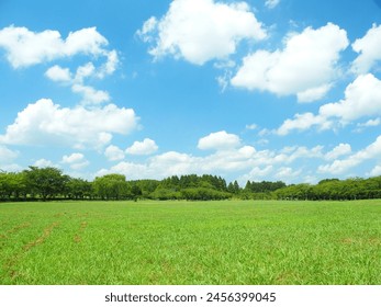 Misato Park landscape with grassland and forest in midsummer - Powered by Shutterstock