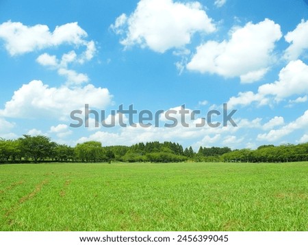 Similar – Image, Stock Photo Wide green park landscape in fine weather with a large meadow in the foreground and a group of trees and bushes in the background