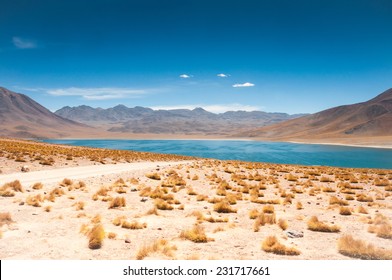 Miscanti Lagoon In San Pedro De Atacama, Chile