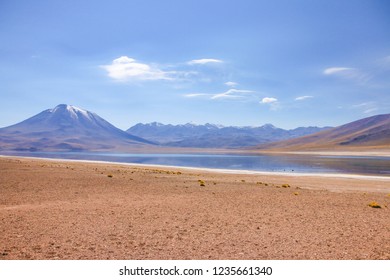 Miscanti And Miñiques Lagoons