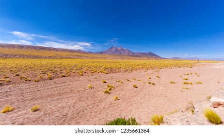 Miscanti And Miñiques Lagoons