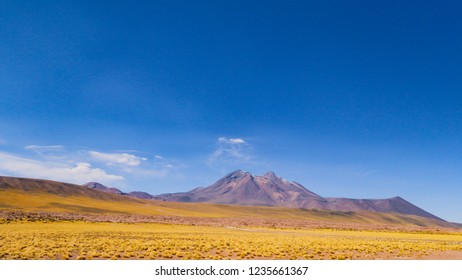 Miscanti And Miñiques Lagoons