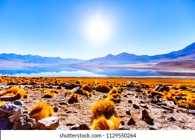 Miscanti Lake Is A Brackish Water Lake Located In The Altiplano Of The Antofagasta Region, In Northern Chile. Miñiques Volcano And Cerro Miscanti Tower Over This Lake.