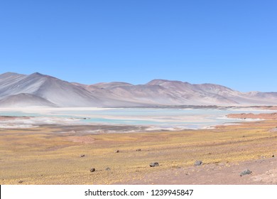 Miscanti Lake Is A Brackish Water Lake Located In The Altiplano Of The Antofagasta Region, In Northern Chile. Miñiques Volcano And Cerro Miscanti Tower Over This Lake. This Heart-shaped Lake.