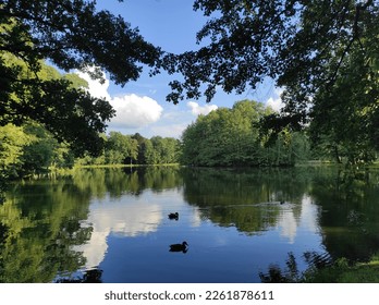Mislakovice, Poland: beautiful sunny day at the lake in Palace Park (Polish: Mysłakowice). Nature scenery trees reflection on lake against blue sky - Shutterstock ID 2261878611