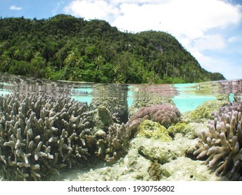 Misool Eco Resort Is An Exclusive Dive Resort And Conservation Centre Located In Remote Southern Raja Ampat, Indonesia