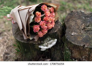 Miss Piggy Bouquet Lies On The Stump