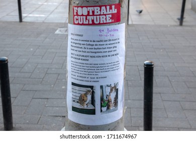 Missing Cat Poster At Amsterdam The Netherlands 2020