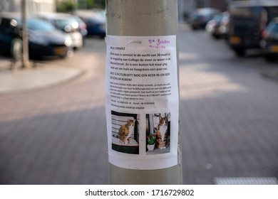 Missing Cat Poster At Amsterdam The Netherlands 2020