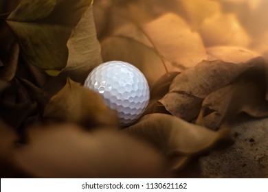 Missing, Lost Golf Ball In Rough Or Hazard Out Of Fairway With Beautiful Falling Leaves At Golf Course, Golf, Sport, Summer Concept