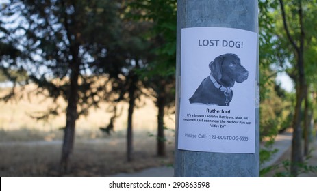 MIssing Poster