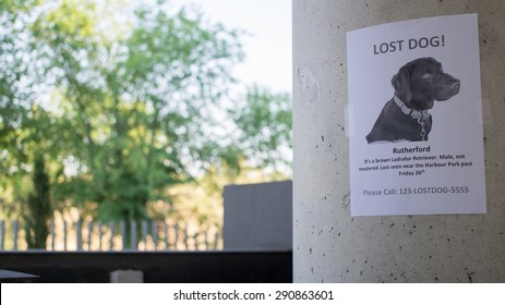 MIssing Poster