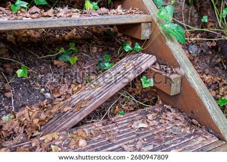The missing stair plank lies at an angle, compact earth holds a scatter of curled leaves, fine roots thread the ground, the worn wood waits for repair while the path climbs above in silence.