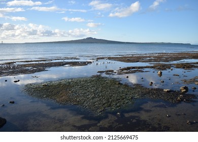 Mission Bay Beach Auckland New Zealand 