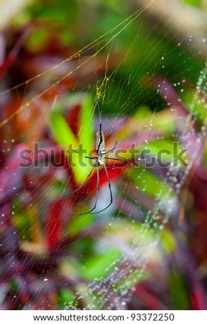 Similar – Image, Stock Photo The way Environment Nature