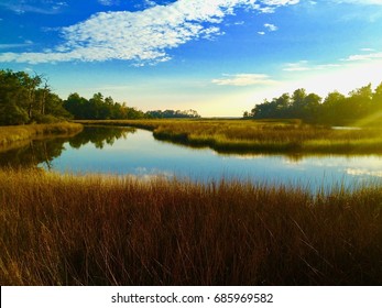 Mississippi Bayou