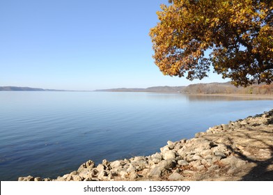 Mississippi River Fall Landscape With Tree