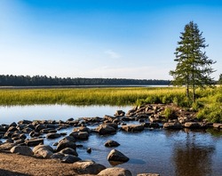 Mississippi River Headwaters At Lake Itasca In Itasca State Park In Minnesota