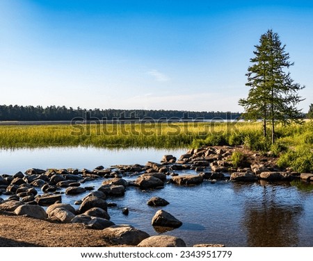 Mississippi River Headwaters at Lake Itasca in Itasca State Park in Minnesota