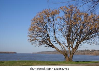 Mississippi River Steamboat