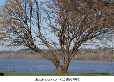 Mississippi River Steamboat