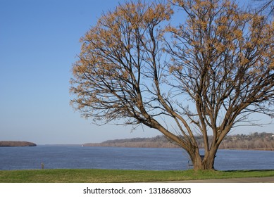 Mississippi River Steamboat