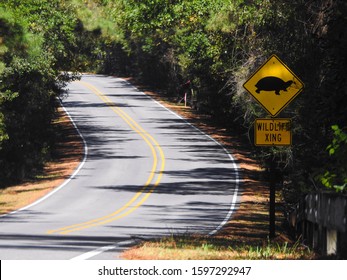 Mississippi, United States - Turtle Wildlife Crossing Sign By The Road In The Forrest