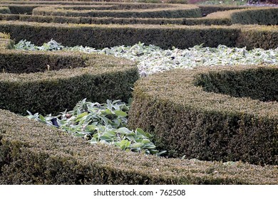 Missouri Botanical Gardens Topiary Bushes