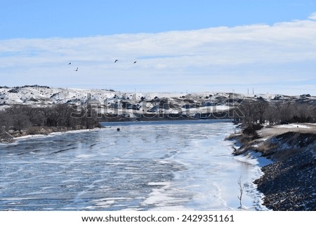 Missouri River Ice Fishing Birds
