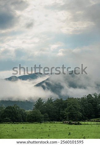 Mist in the Blueridge Mountains