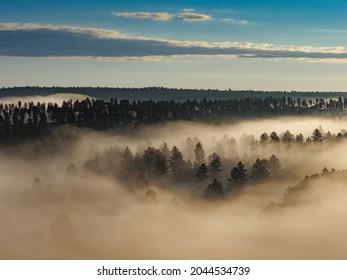 Mist Covered Trees Near Custer, South Dakota