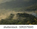 Mist is floating over the forest.selective focus.
